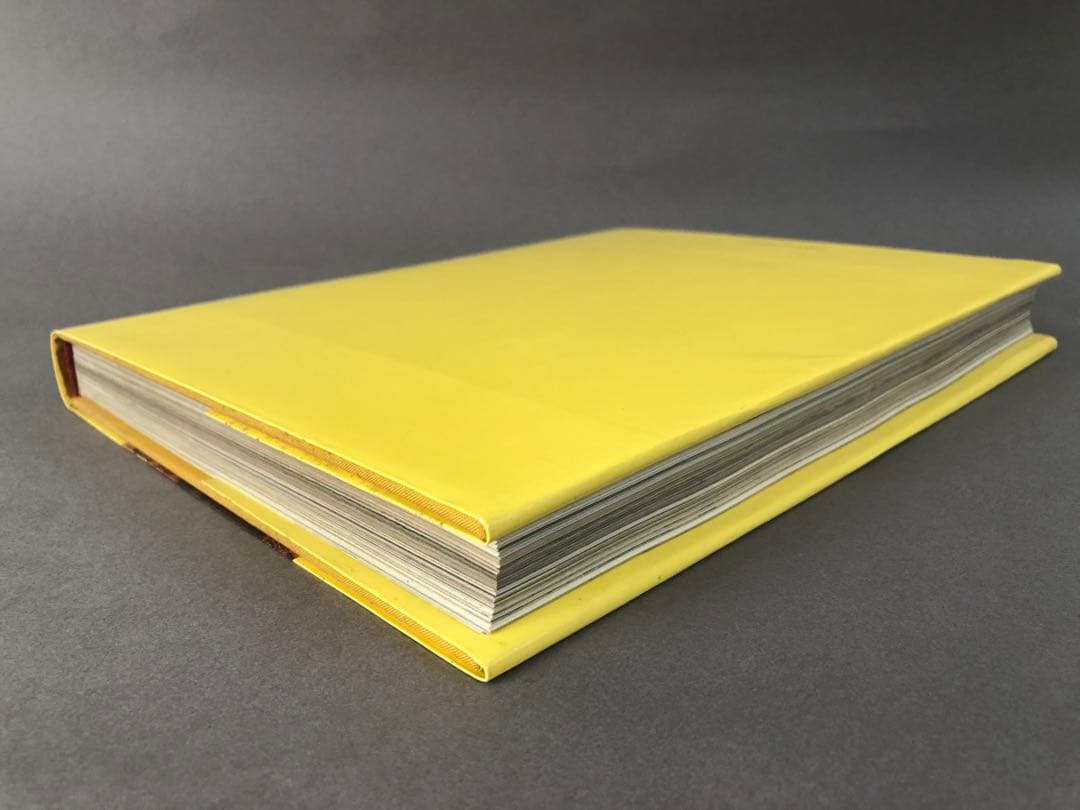 洋書画集　FRA ANGELICO THE LIGHT OF THE SOUL