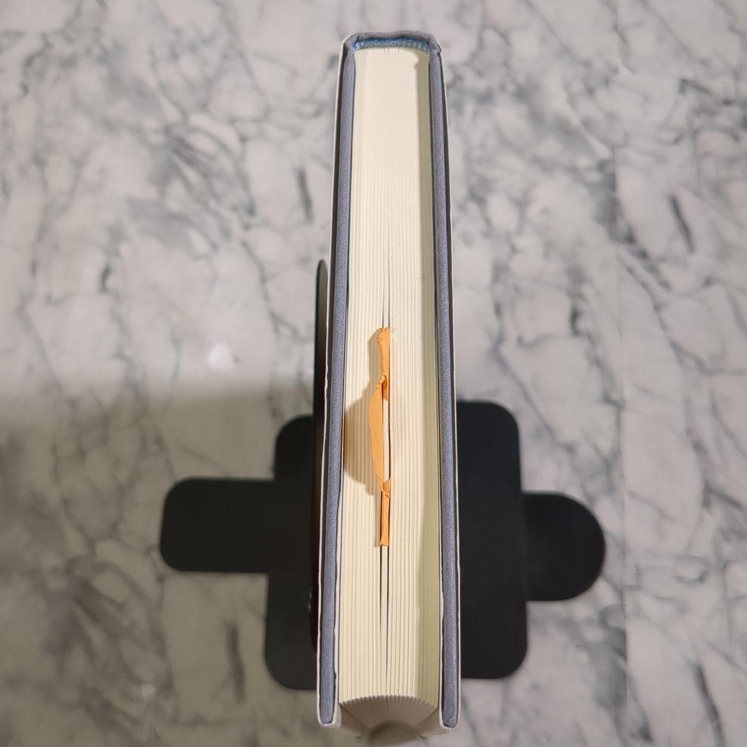 【美品】自閉症のDIR治療プログラム