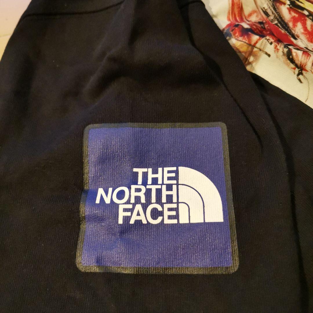 【Lサイズ・着用3回】ノースフェイス　トランスアンタークティカ　ロングTシャツ