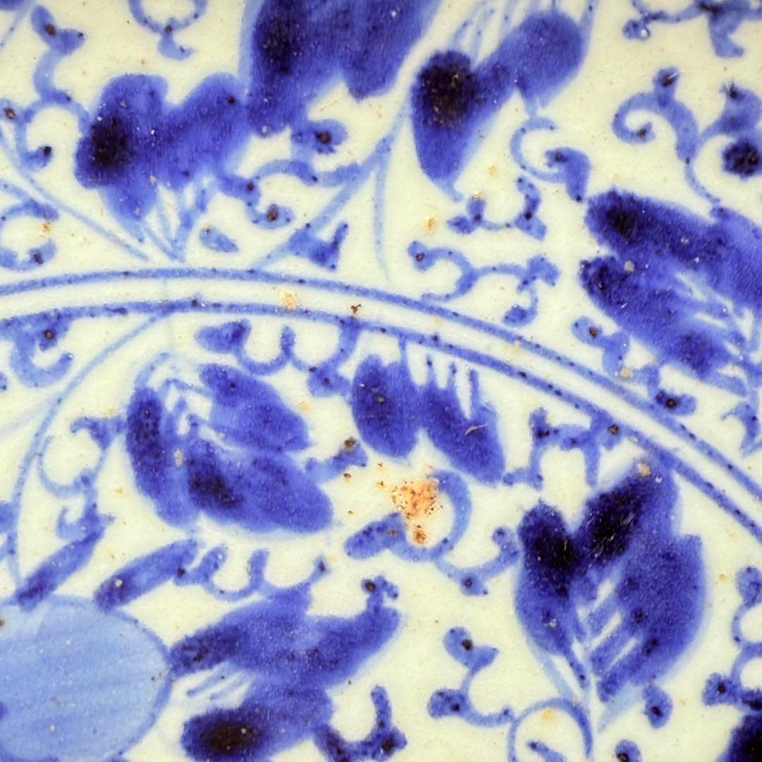 江戸後期　藍柿右衛門　「染付花草文様八寸皿」　渦福　博物館級　状態良し