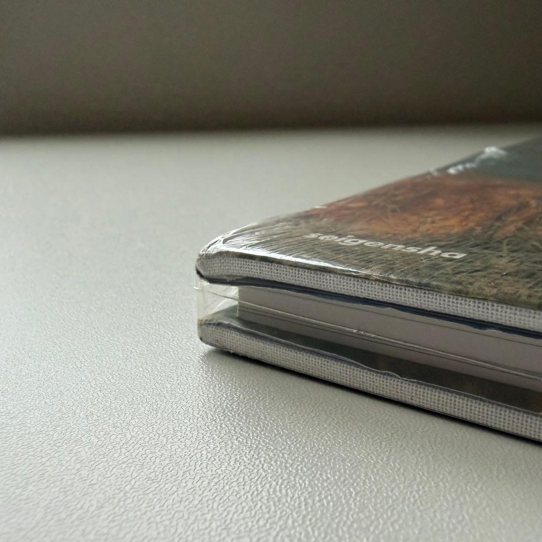 【未開封】川内倫子　あめつち　Rinko Kawauchi