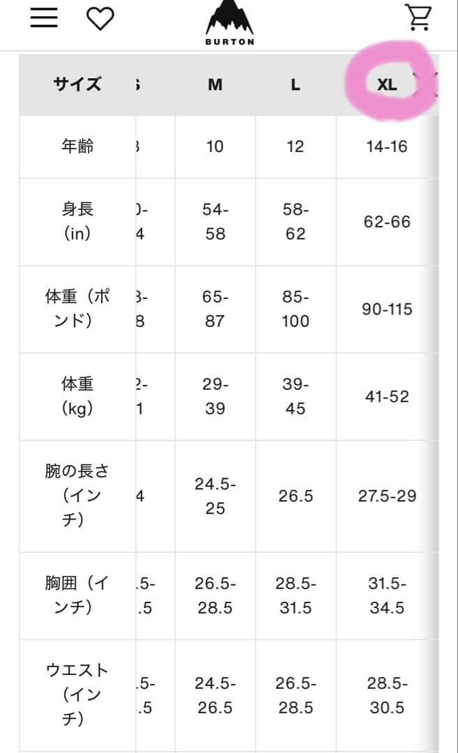 BURTON スノーウェア/スキーウェア XL