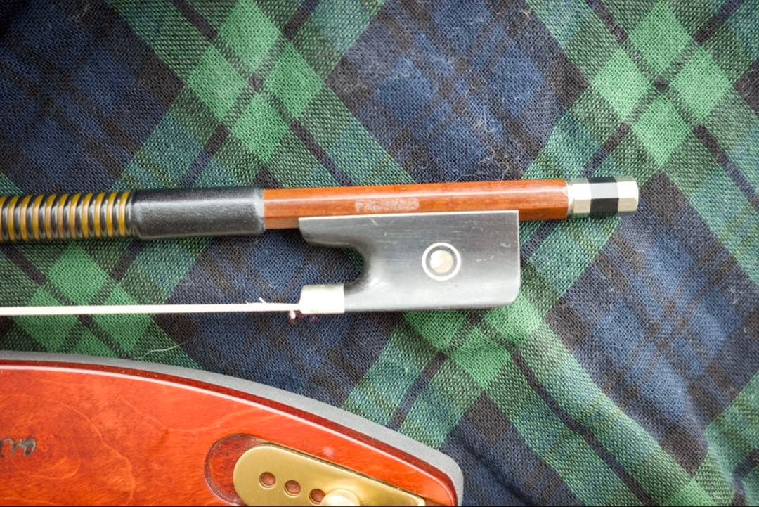 【美品】ローデリヒ・ペゾルト PA703（40.5cm） ビオラセット