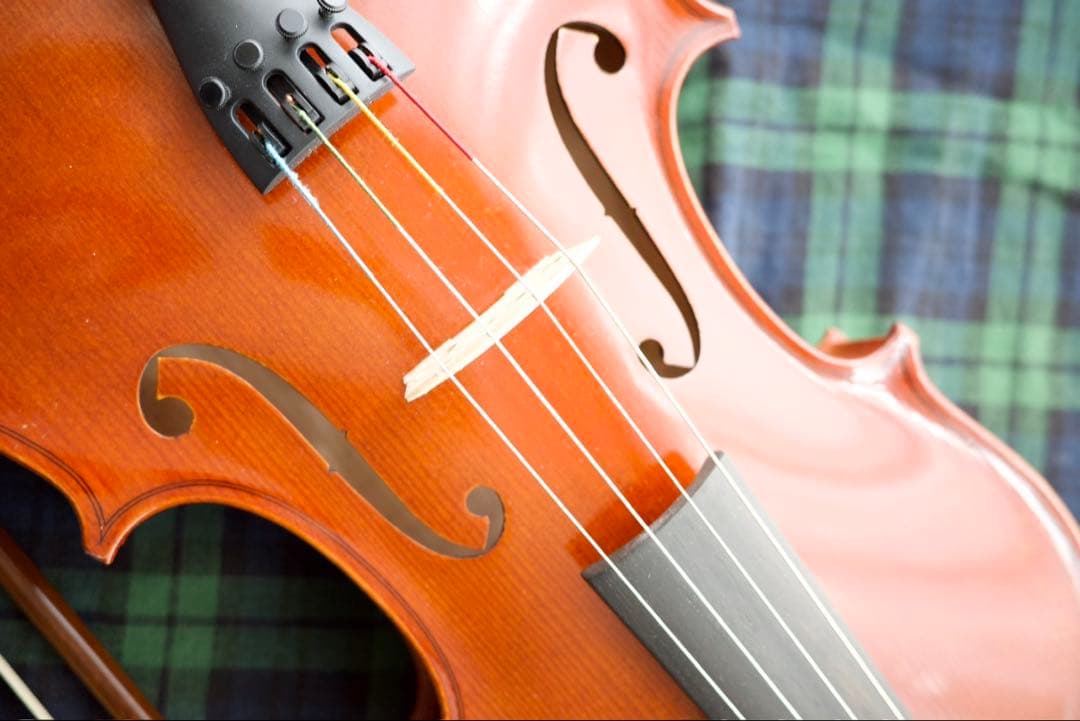 【美品】ローデリヒ・ペゾルト PA703（40.5cm） ビオラセット