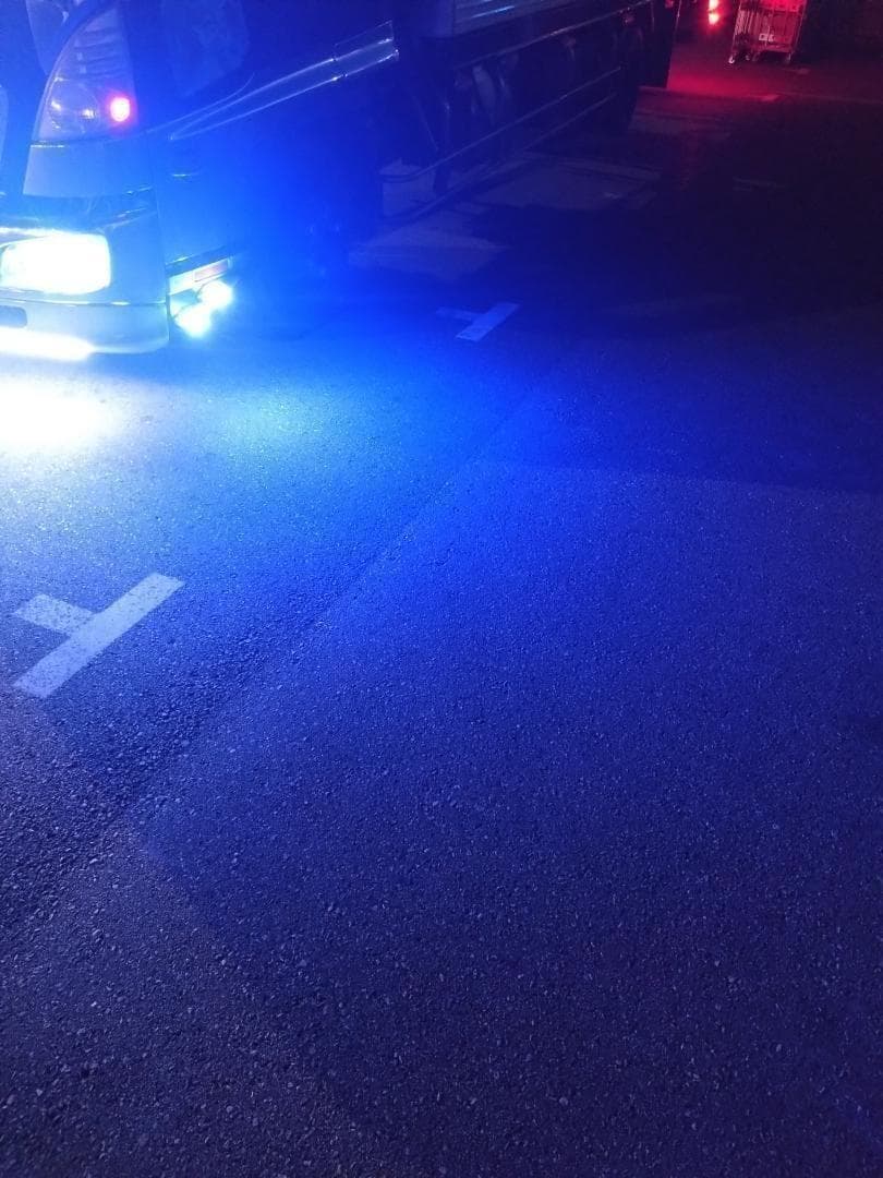 専用出品 6個 クリアレンズ　ナマズマーカー