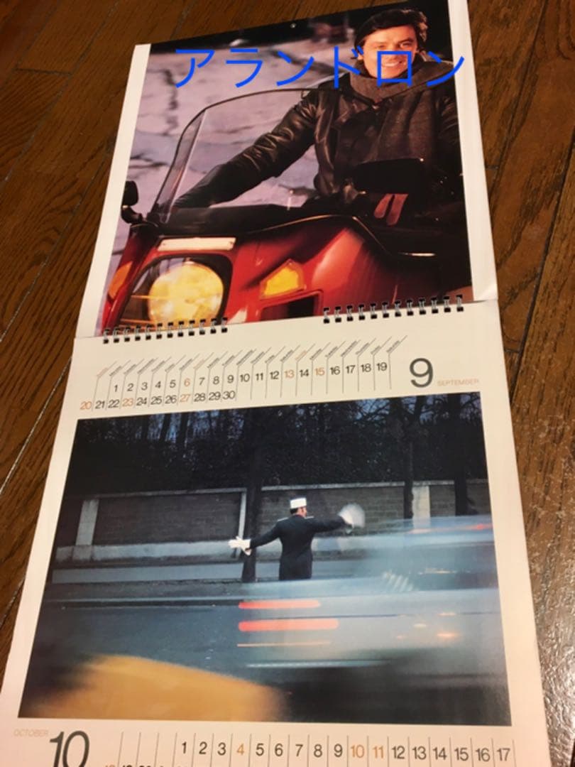 【貴重】アランドロン ダーバンカレンダー　1981