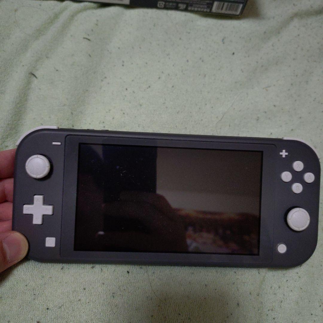 Nintendo Switch Lite　グレー　箱・充電アダプター付き