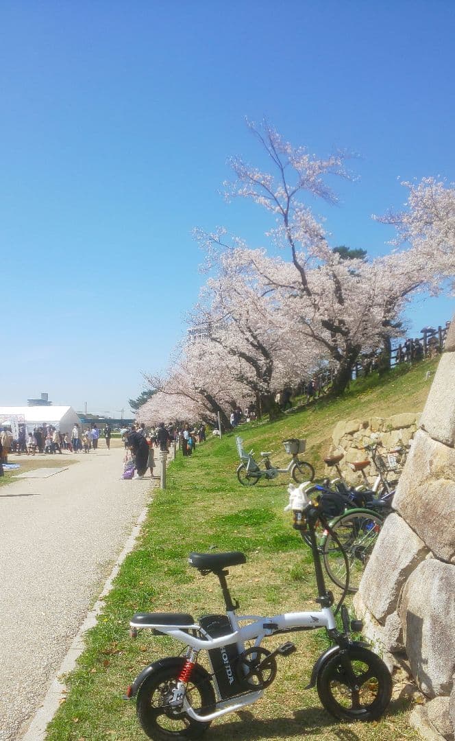 電動自転車 電動アシスト 折りたたみ自転車