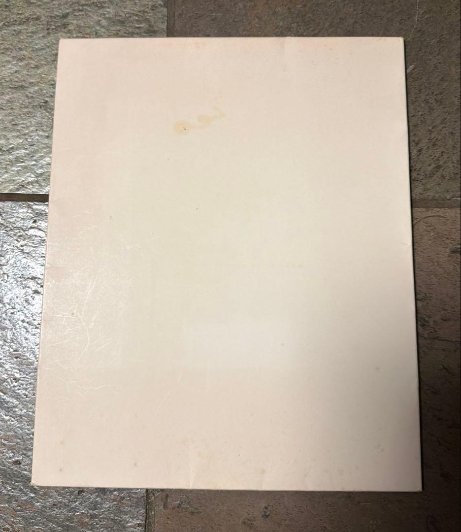 玉花　源氏物語書集10 光琳社出版株式会社刊　限定300 昭和51年