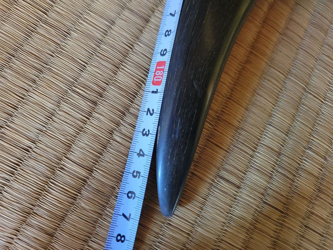 し*☆様 水牛の角　インテリア　186cm送料込み‼️