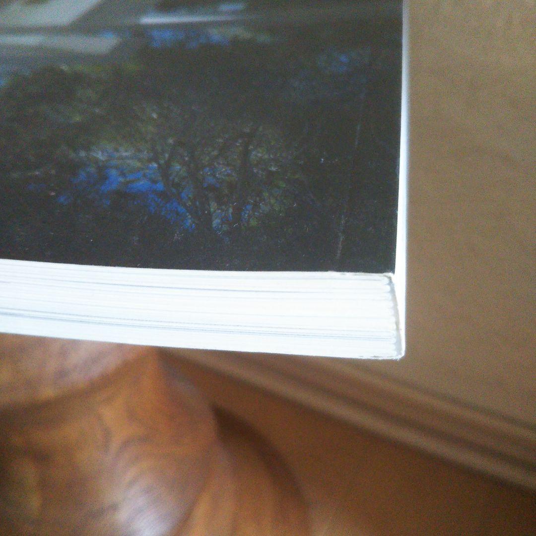 スティール &シェード ：ペーパーバック 2011/3/22