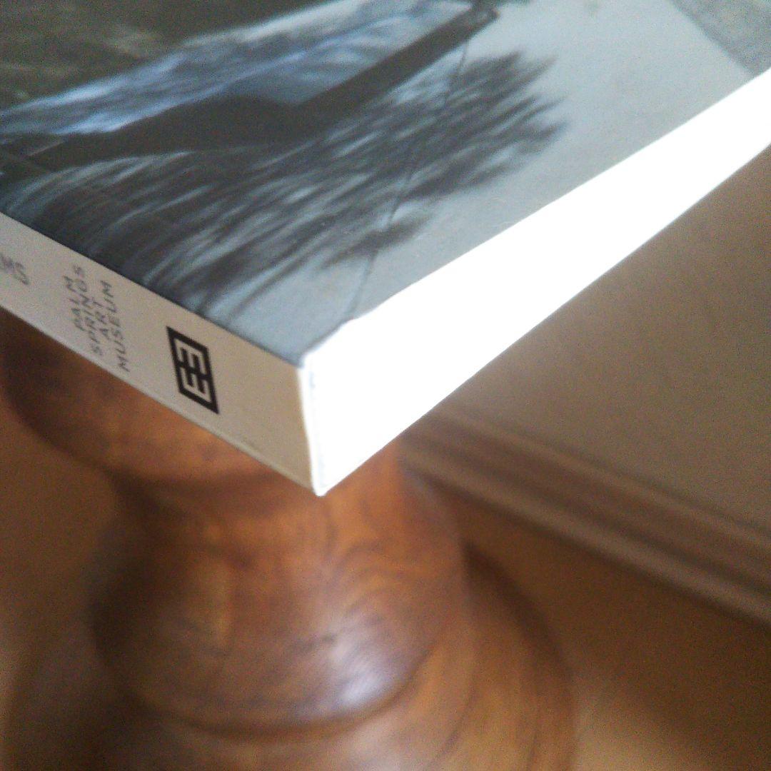 スティール &シェード ：ペーパーバック 2011/3/22