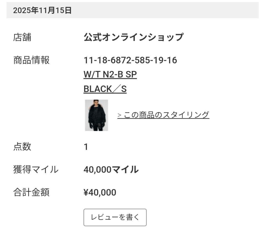 WILD THINGS / N-2B Jacket sサイズ BEAMS