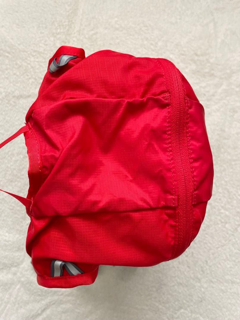 SALOMON サロモン　トレランリュック　TRAIL10