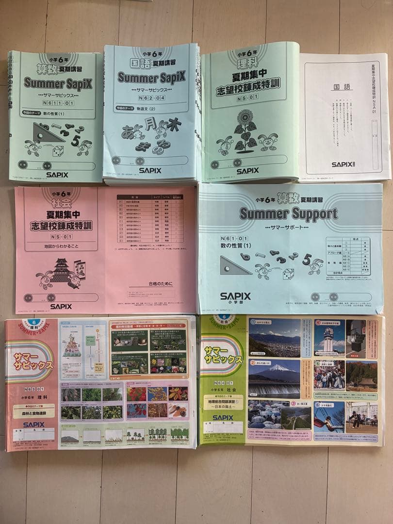 SAPIX Summer 小6 夏期講習教材（全册）