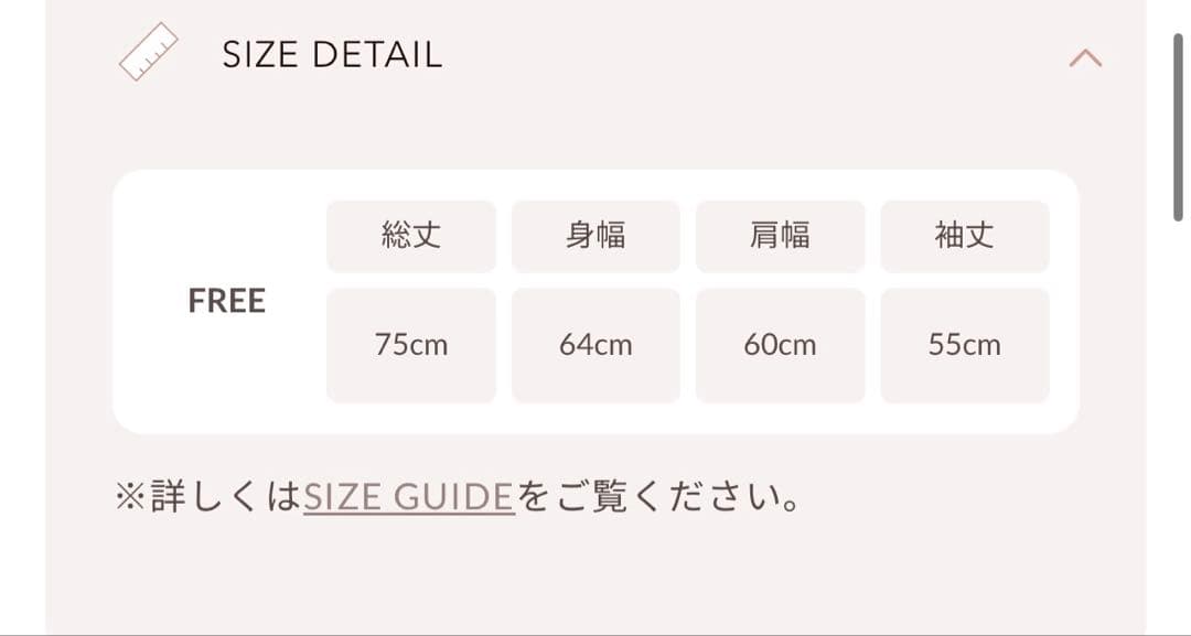 【新品タグ付き】Darich DDロゴビジュースウェットプルオーバー GRY