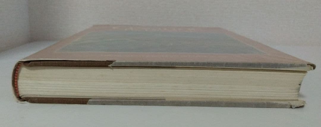 セザンヌ Ce'zanne The Late Work 洋書 画集