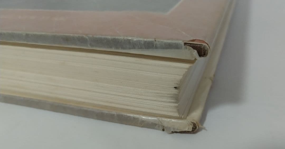 セザンヌ Ce'zanne The Late Work 洋書 画集