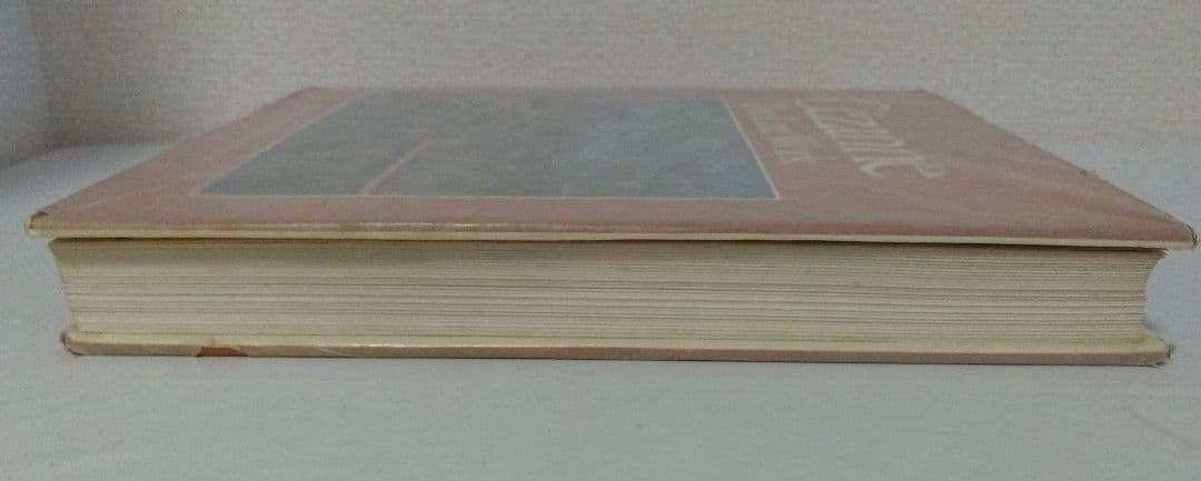 セザンヌ Ce'zanne The Late Work 洋書 画集