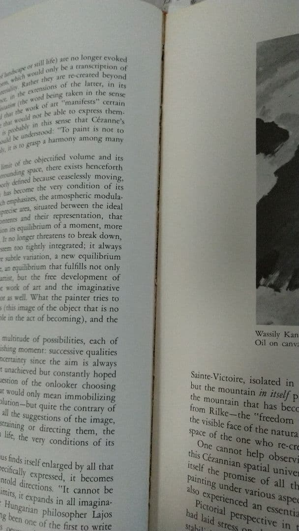 セザンヌ Ce'zanne The Late Work 洋書 画集