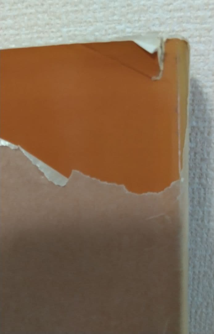 セザンヌ Ce'zanne The Late Work 洋書 画集