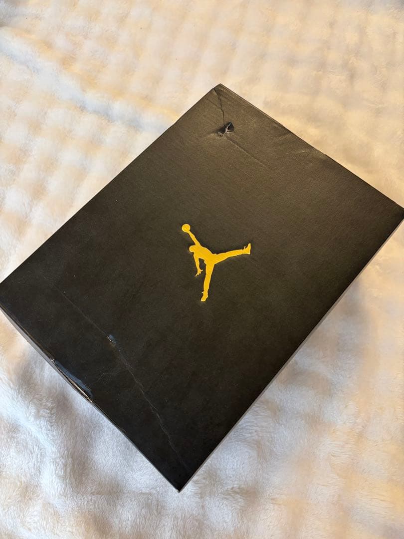 その他 Air Jordan 4 RETRO 20cm