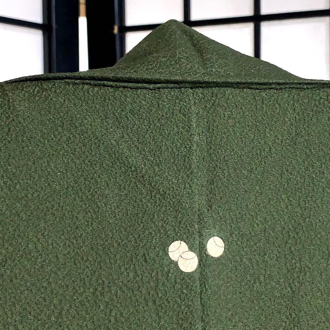 【コロ　】君島一郎　寿光織　色無地　一ツ紋　身丈172.5cm 長身で細身