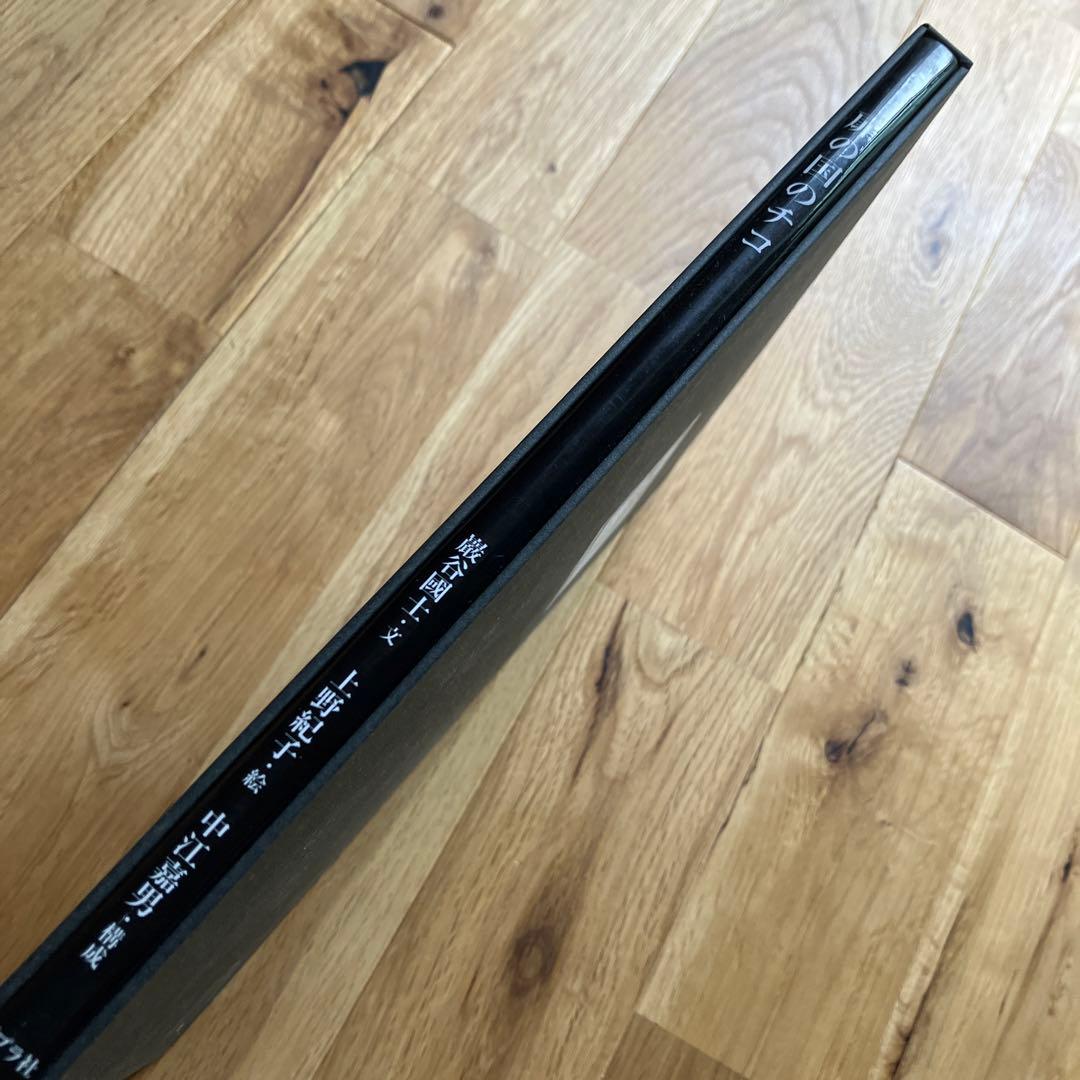 扉の国のチコ　限定　初版　サイン入り　巌谷國士　上野紀子　中江嘉男　ポプラ社