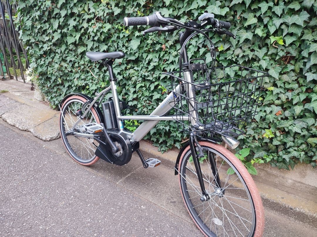 大容量12.3ah カスタム PAS CITY X ミラーシルバー