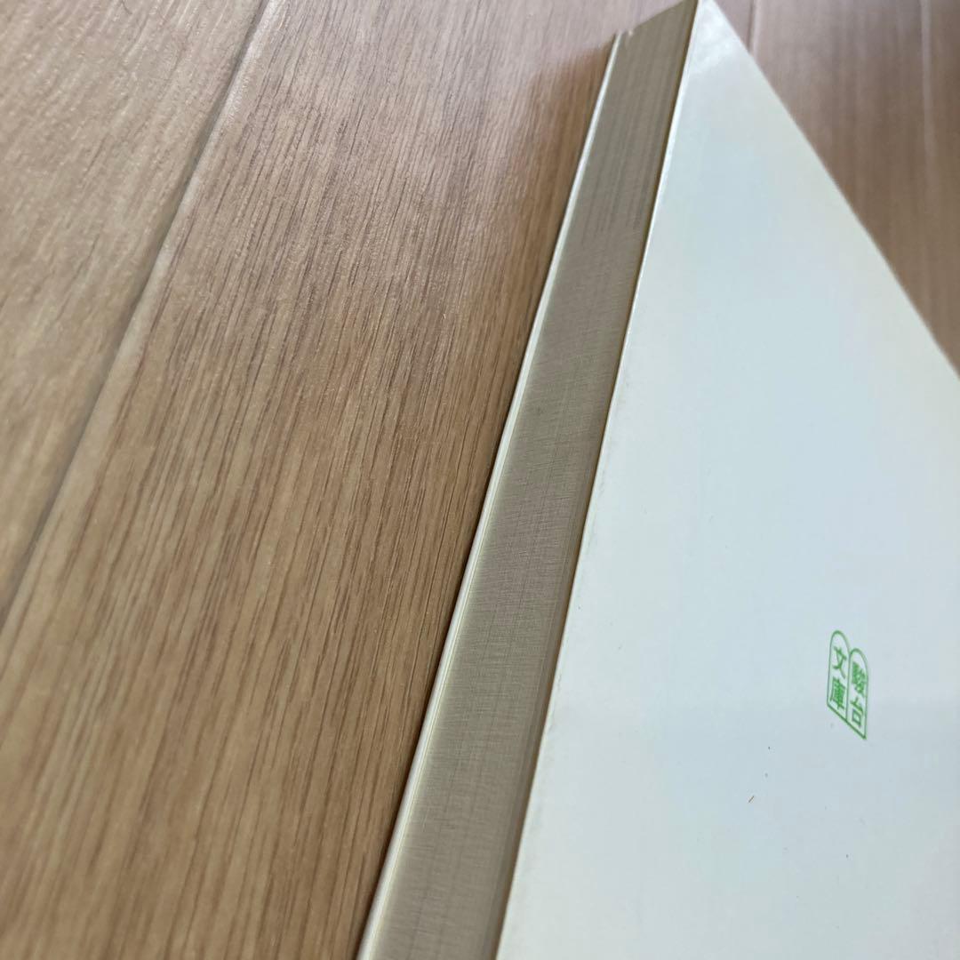 ⭐️大学入試　必修物理問題演習　谷藤祐著⭐️