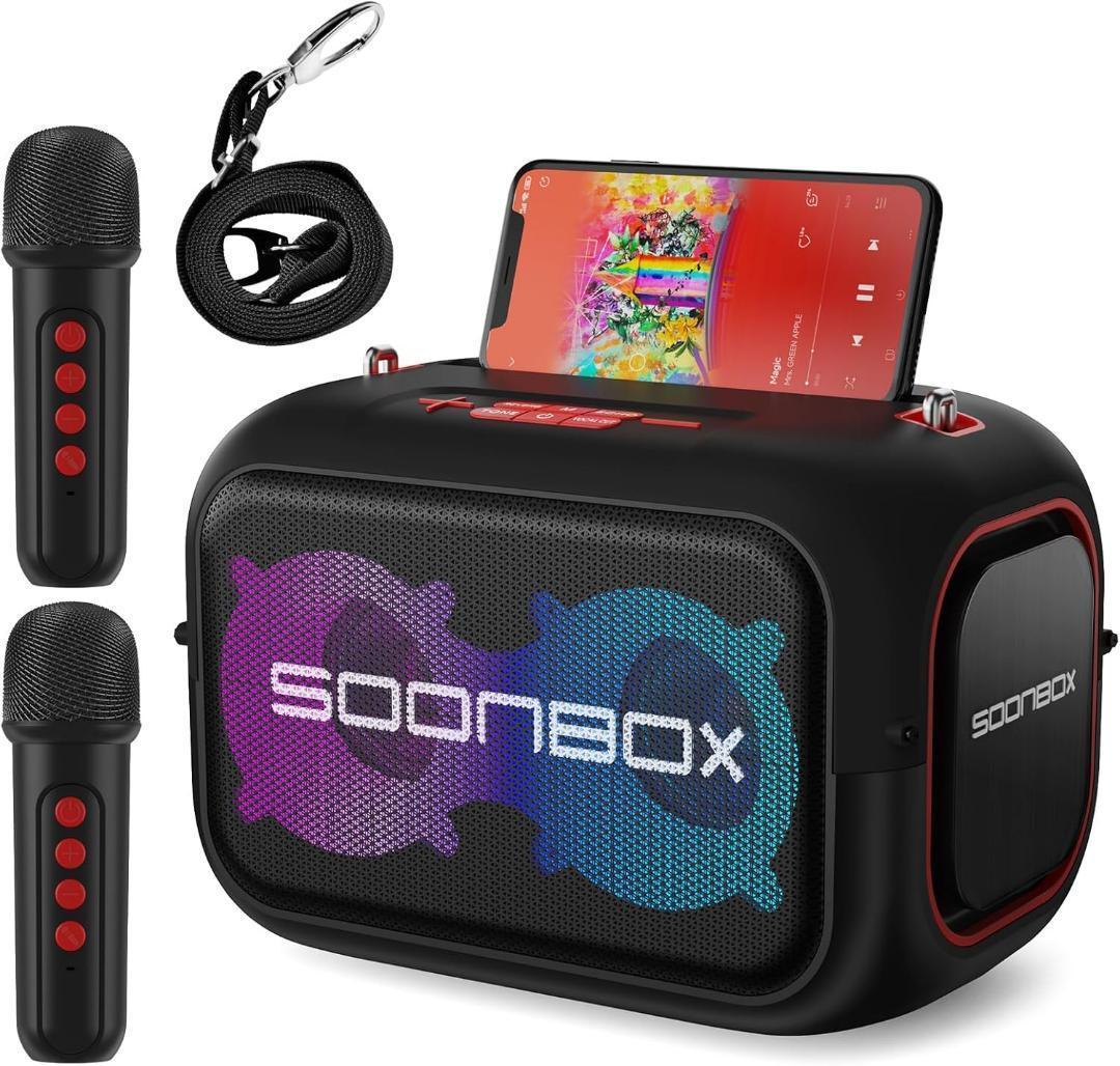 カラオケセット家庭用 充電式スピーカーマイク２本BT5.3 TWS機能 6時間