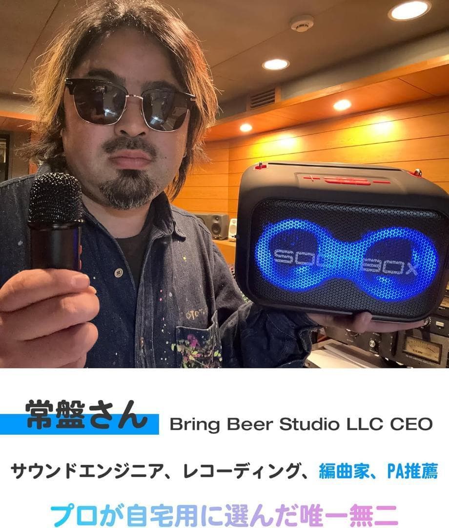 カラオケセット家庭用 充電式スピーカーマイク２本BT5.3 TWS機能 6時間