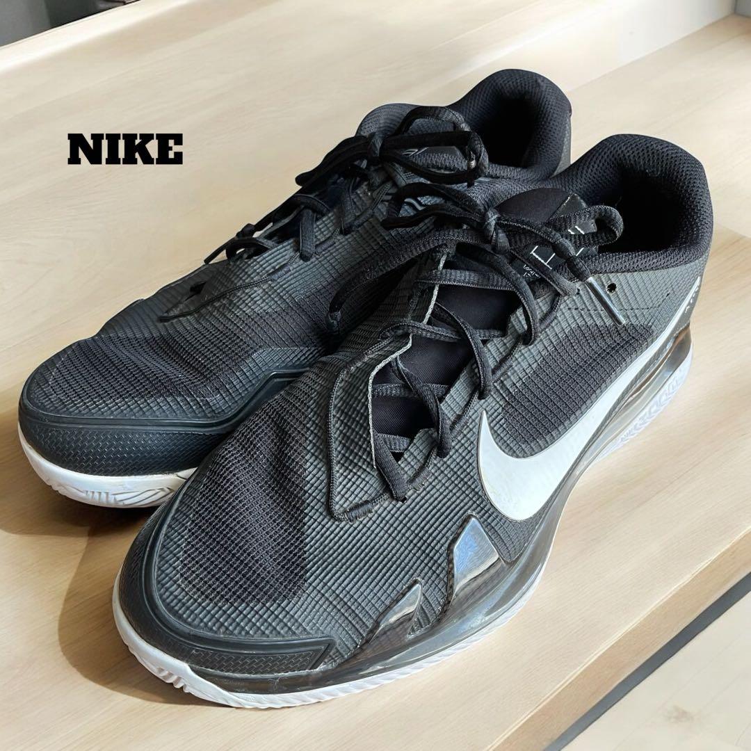 恐竜　ナイキ　テニスシューズ　ズームヴェイパープロ　クレー　オムニ