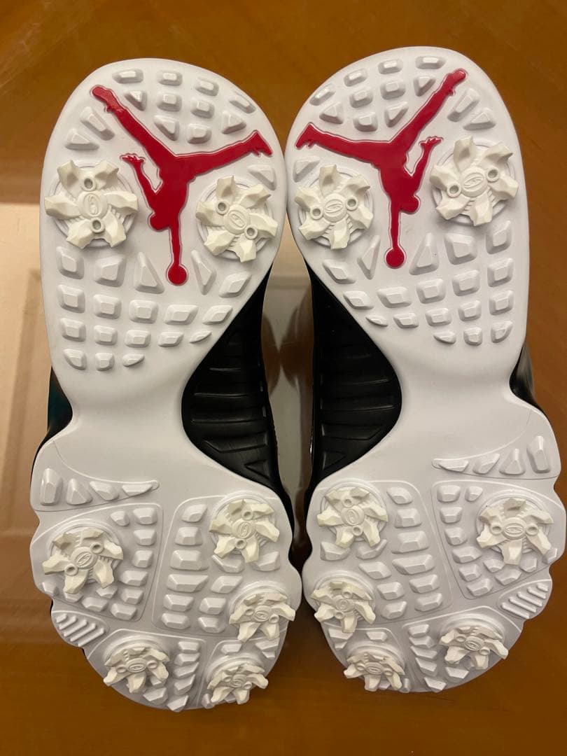 NIKE ゴルフシューズ エアジョーダン9 FJ5934-100