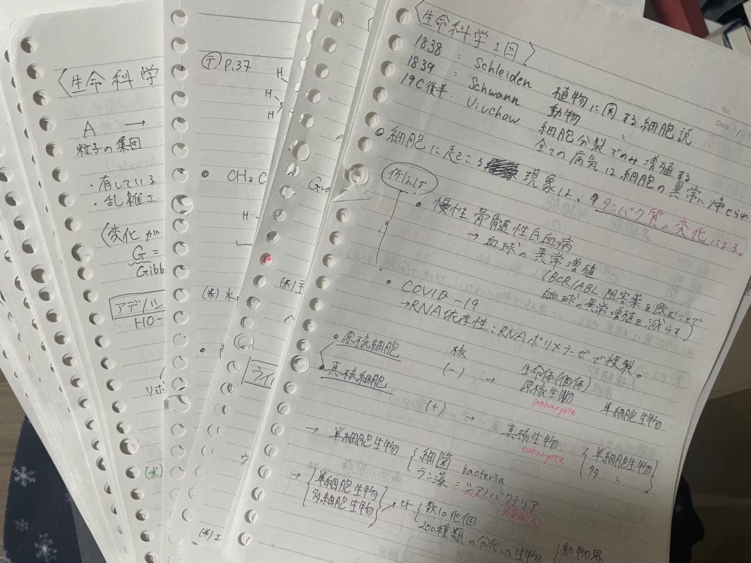 KALS 医学部学士編入セット