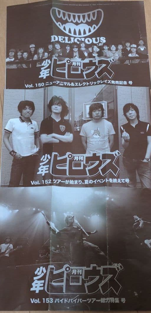 【the pillows】サイン・会報・Tシャツ　ピロウズ　34CD DVD