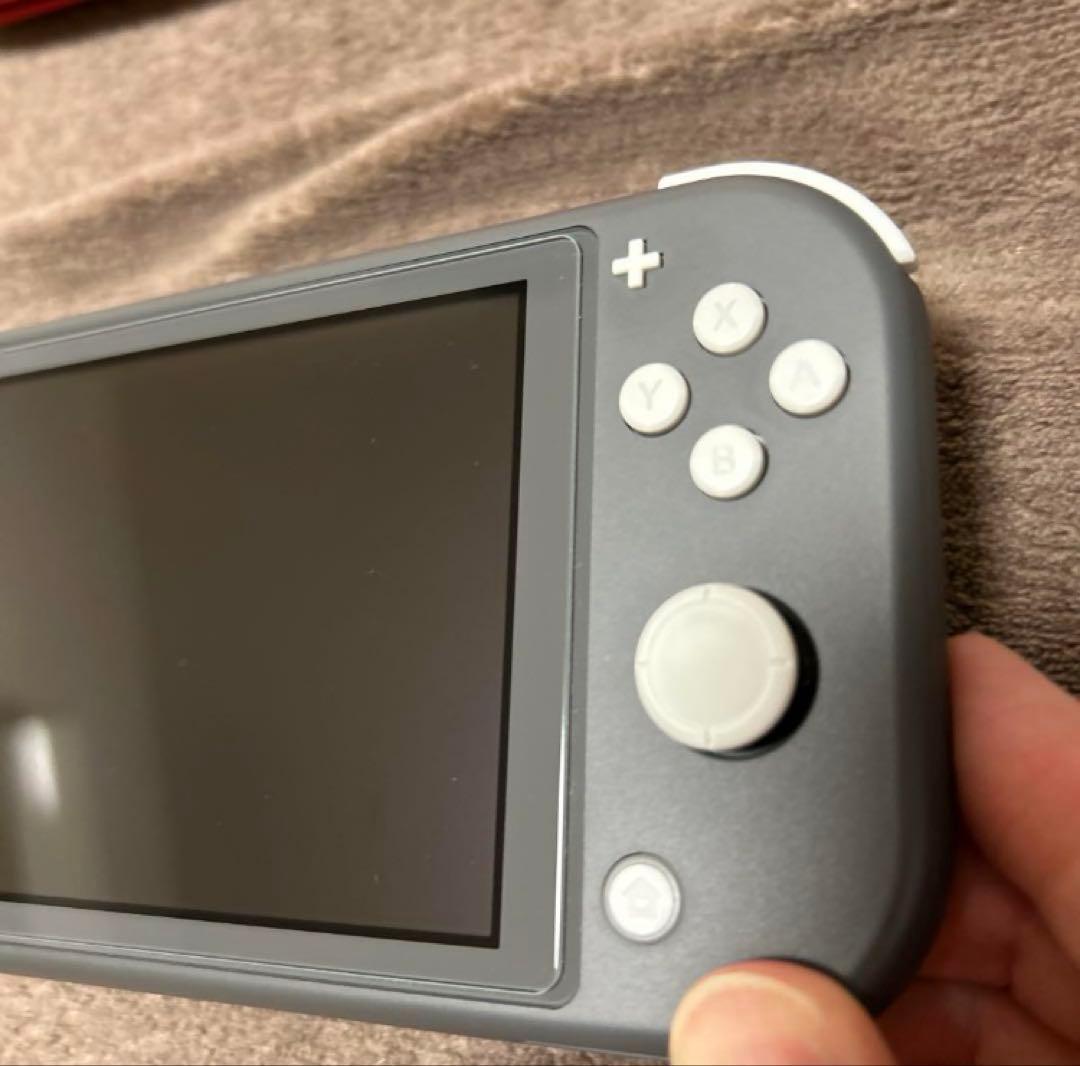 ジャンクNintendo Switch Lite グレー 本体