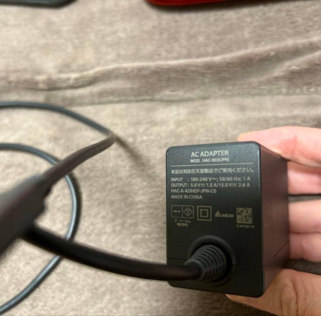 ジャンクNintendo Switch Lite グレー 本体