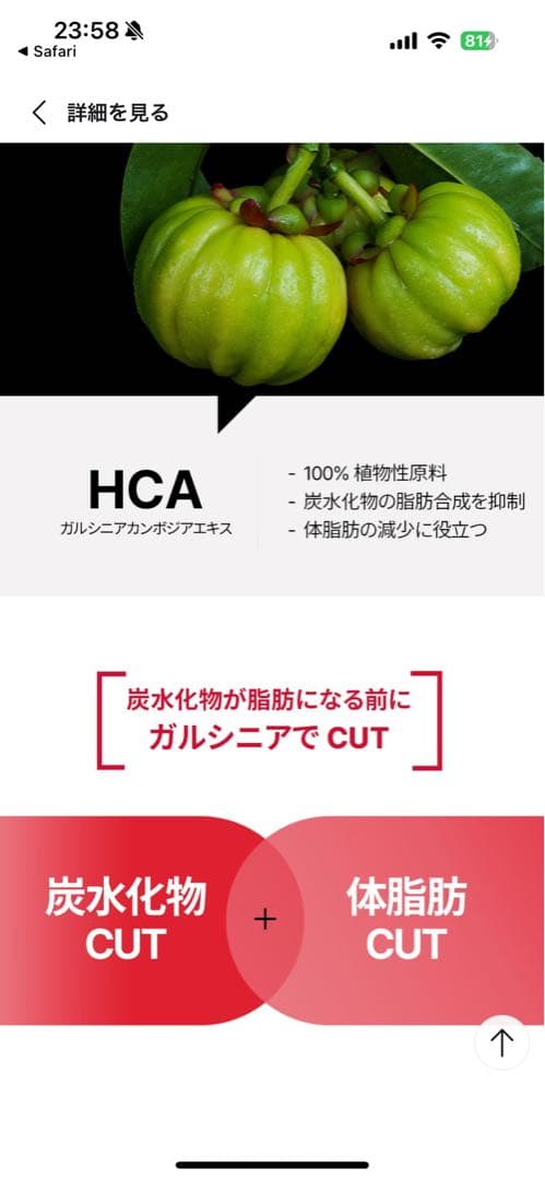 FOODOLOGY カッティングゼリー セット