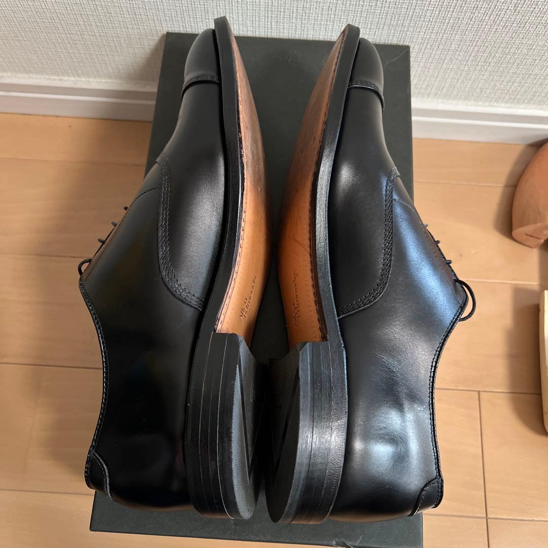 【値下げ】Allen Edmonds 5615 Park Avenue US9E