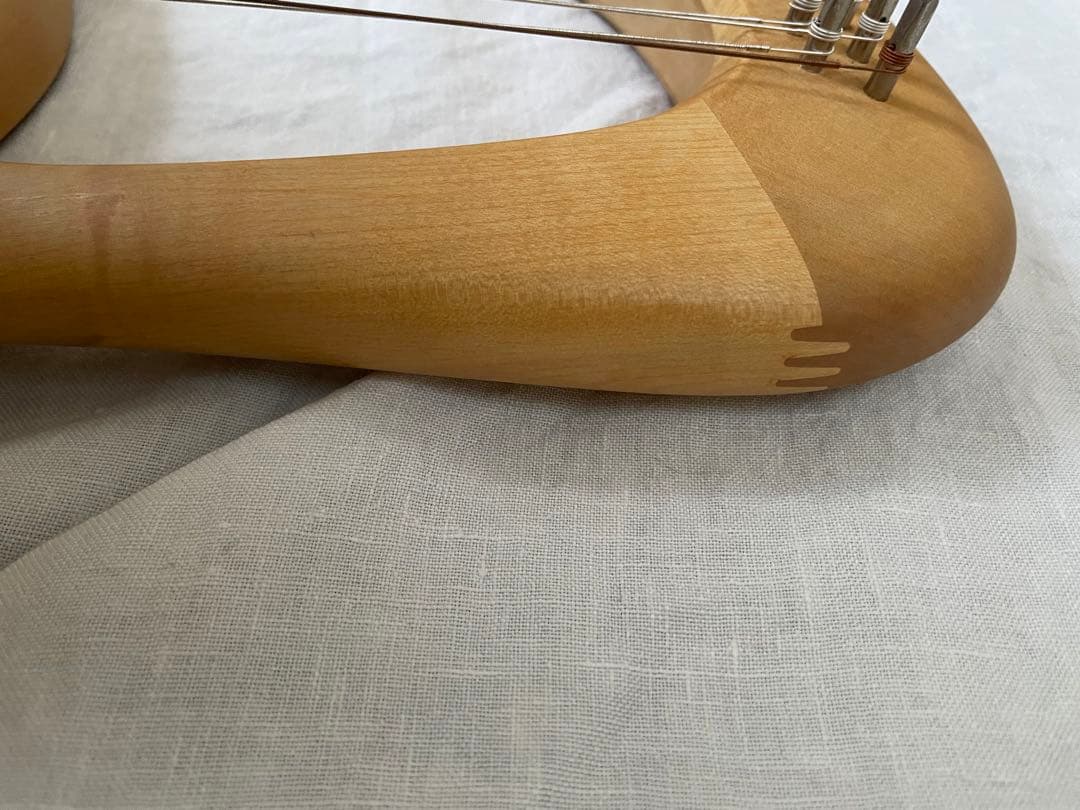 ザーレムライアー　SALEM 27弦