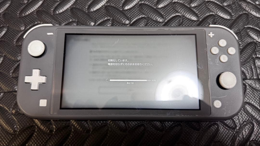 Nintendo Switch Lite　Gray