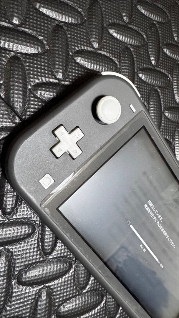 Nintendo Switch Lite　Gray