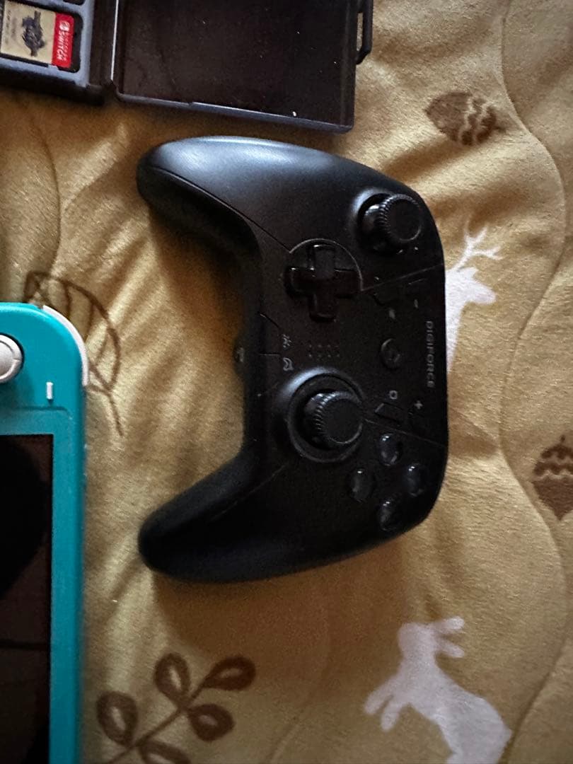 Nintendo Switch Lite ターコイズ 本体　Switchセット！