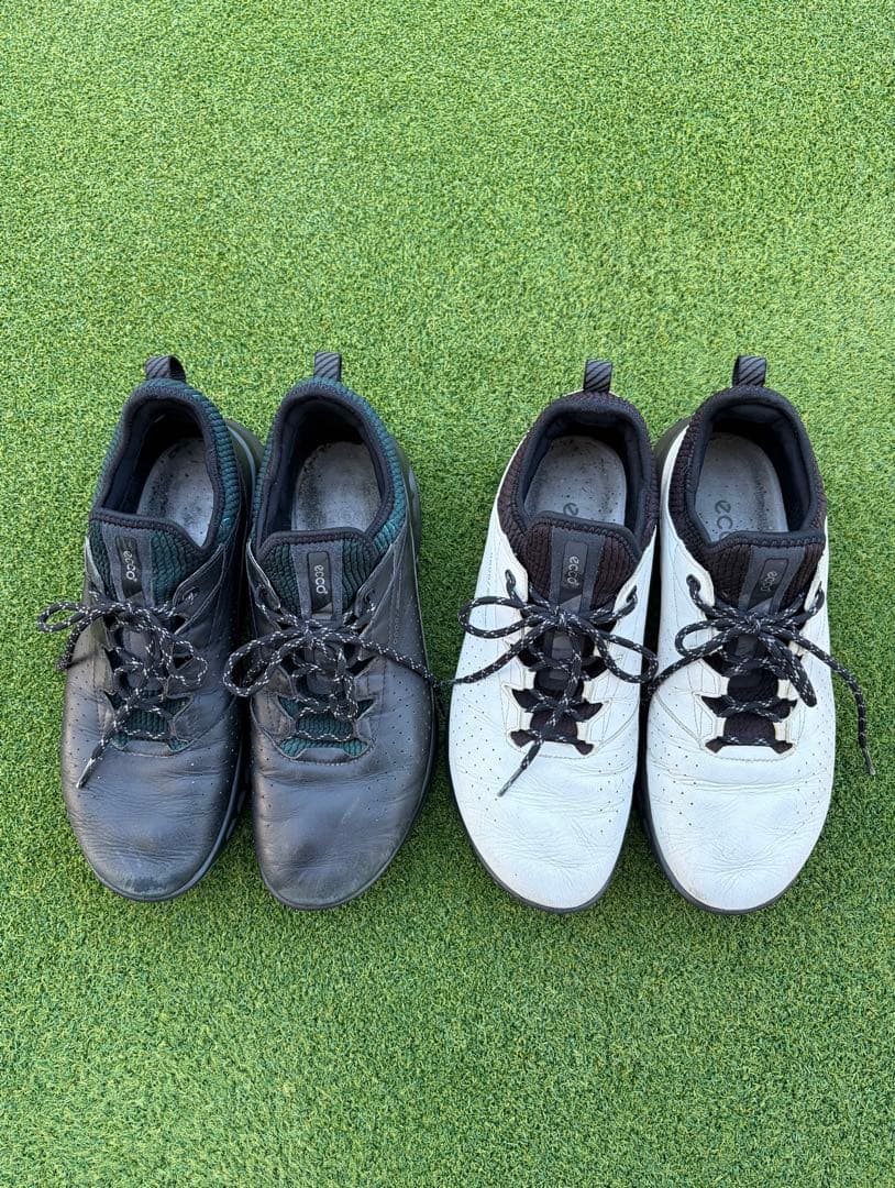 ECCO Golf Biom C4 Men エコー ゴルフ シューズC4