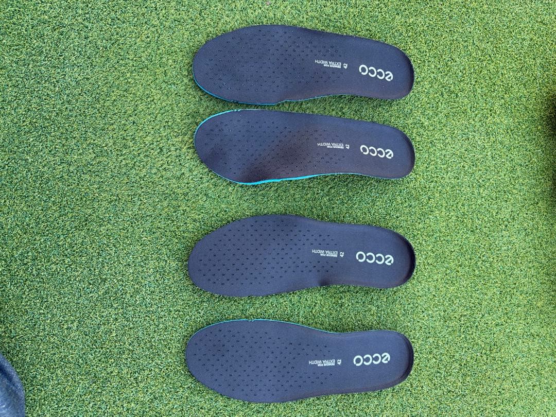 ECCO Golf Biom C4 Men エコー ゴルフ シューズC4