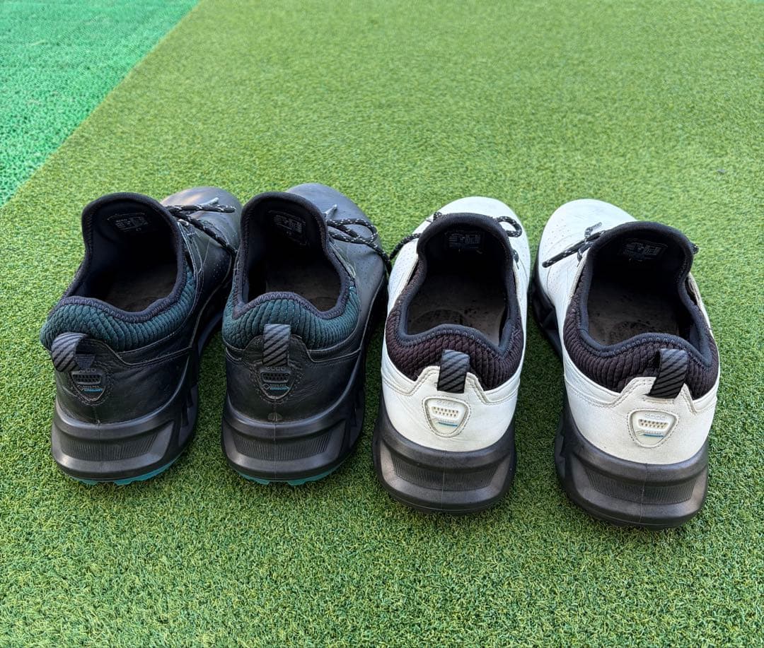 ECCO Golf Biom C4 Men エコー ゴルフ シューズC4