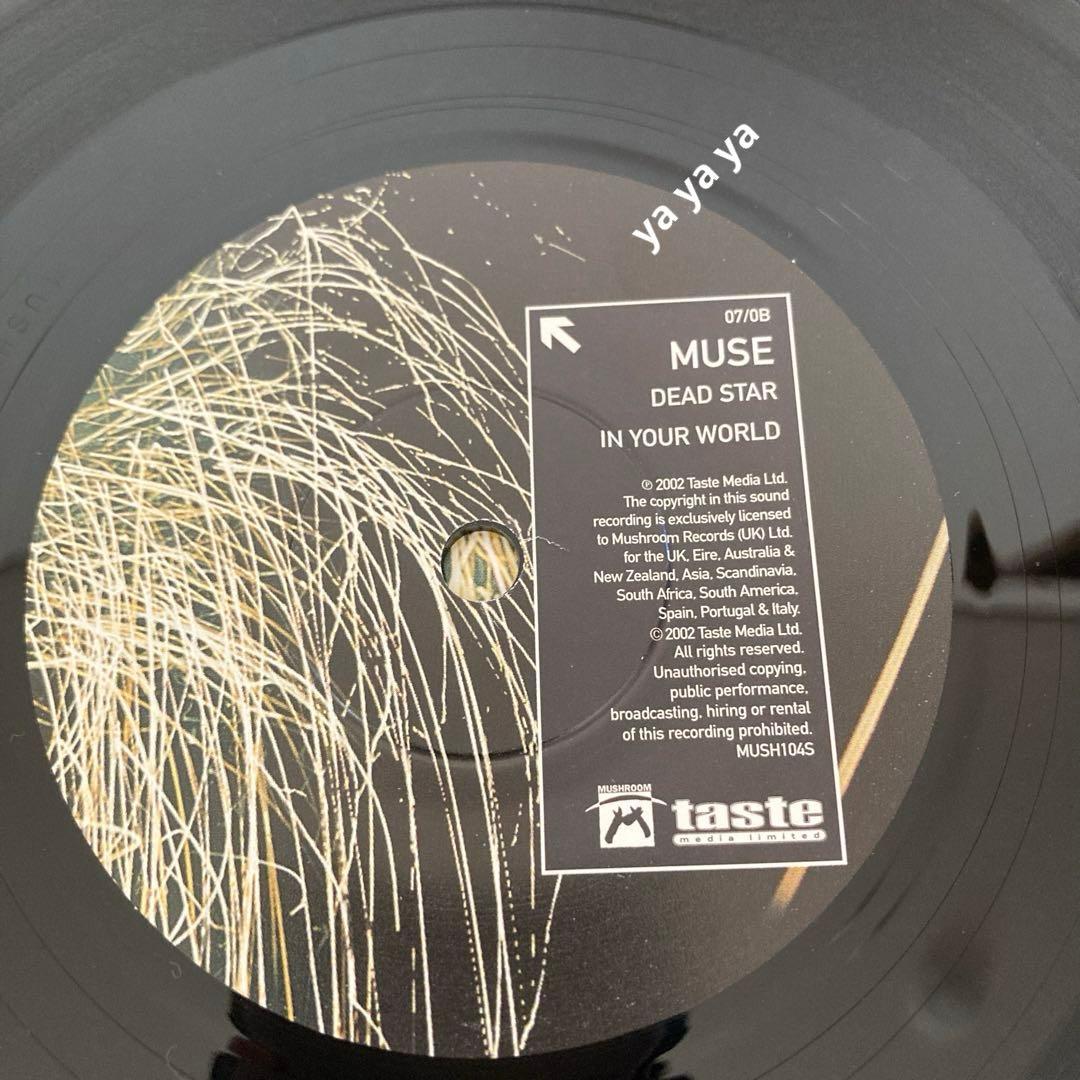 Muse ‎– Dead Star / In Your World UK 7\"