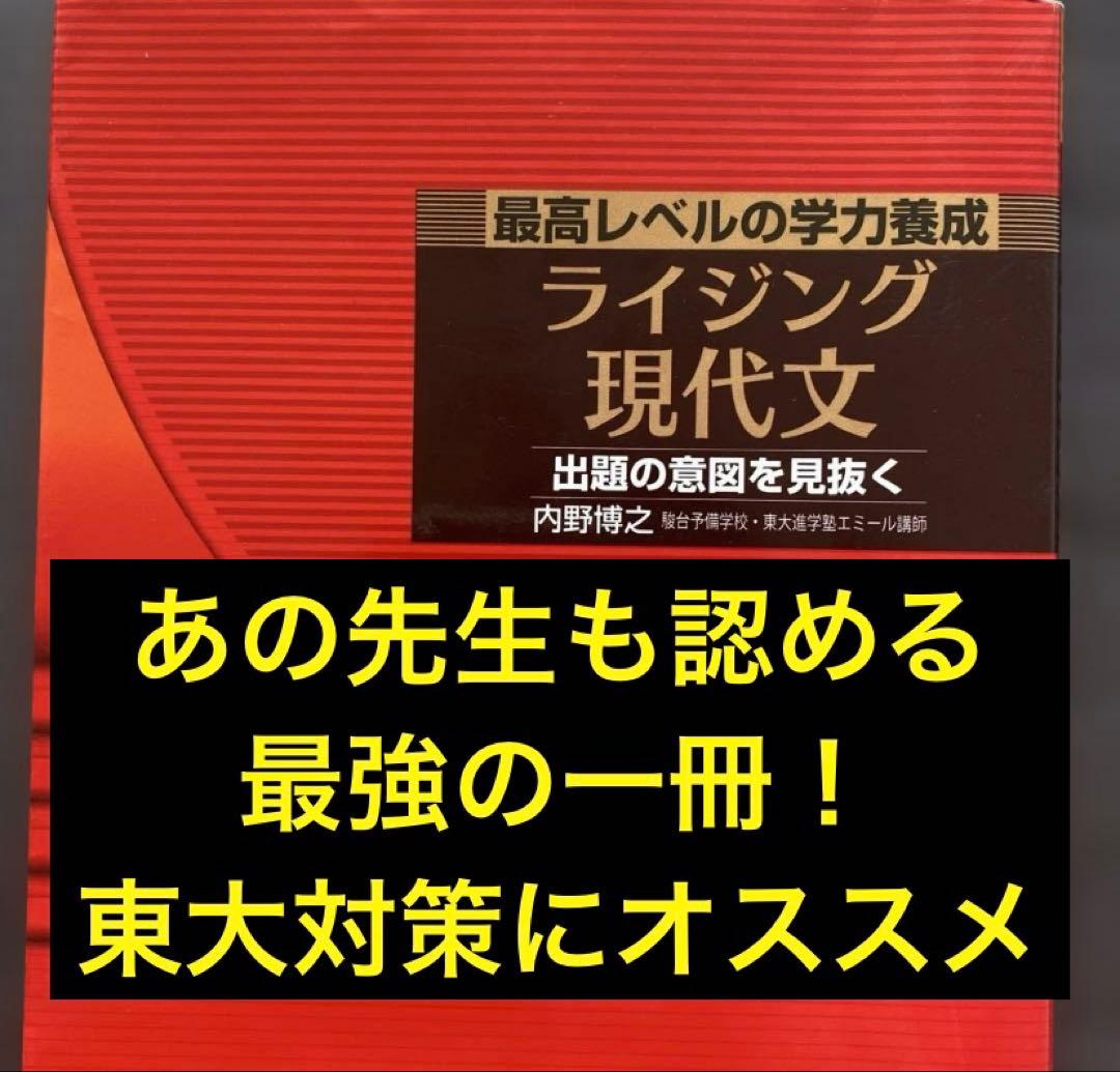 【東大現代文にオススメ】ライジング現代文 最高レベルの学力養成　内野博之駿台講師