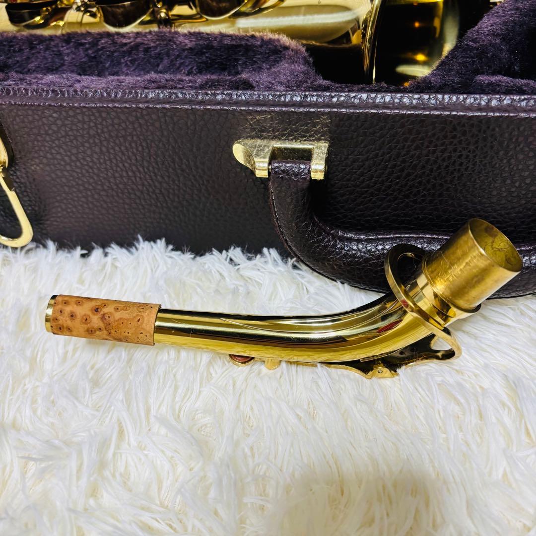 Heinrich ヘインリッチ アルトサックス HAL-75 ハードケース有